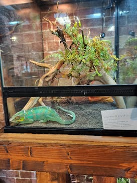 NARA IKIMONO MUSEUMに投稿された画像（2023/5/4）