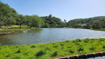 三溪園に投稿された画像（2023/5/4）