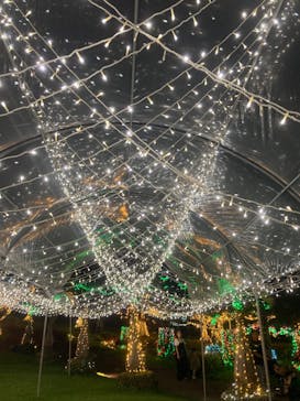 美らヤシパークオキナワ・東南植物楽園に投稿された画像（2023/5/4）