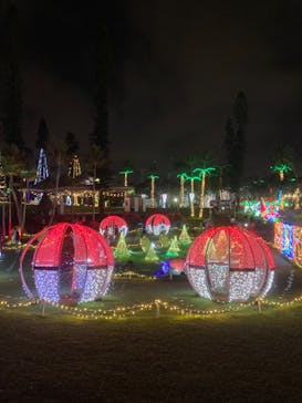 美らヤシパークオキナワ・東南植物楽園に投稿された画像（2023/5/4）