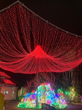 美らヤシパークオキナワ・東南植物楽園に投稿された画像（2023/5/4）