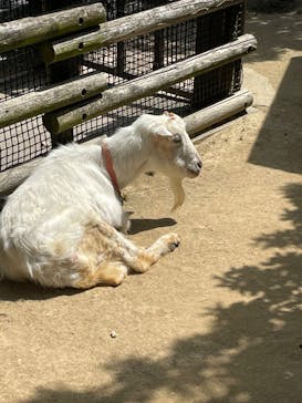 到津の森公園に投稿された画像（2023/5/4）