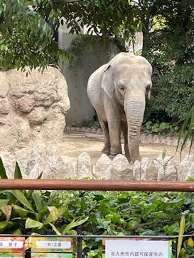 到津の森公園に投稿された画像（2023/5/4）