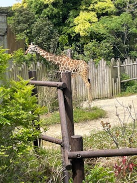 到津の森公園に投稿された画像（2023/5/4）