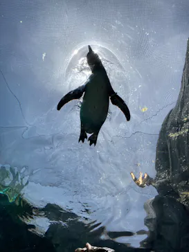 天王寺動物園に投稿された画像（2023/5/4）