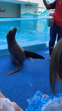 南知多ビーチランド＆南知多おもちゃ王国に投稿された画像（2023/5/4）