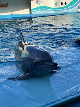 南知多ビーチランド＆南知多おもちゃ王国に投稿された画像（2023/5/4）