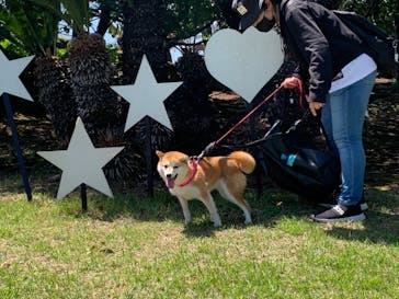 伊豆ぐらんぱる公園に投稿された画像（2023/5/4）