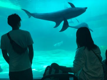 名古屋港水族館に投稿された画像（2023/5/4）