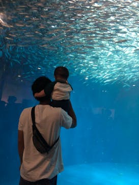 名古屋港水族館に投稿された画像（2023/5/4）