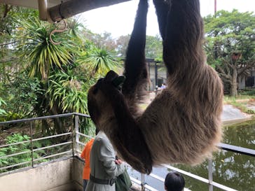 ネオパークオキナワに投稿された画像（2023/5/4）