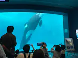 名古屋港水族館に投稿された画像（2023/5/5）