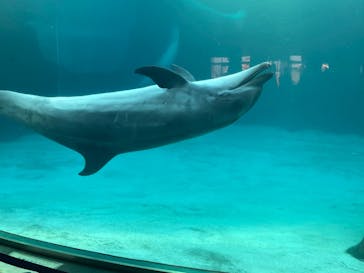 名古屋港水族館に投稿された画像（2023/5/4）