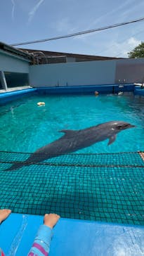 ゼロ距離水族館 伊勢シーパラダイスに投稿された画像（2023/5/4）