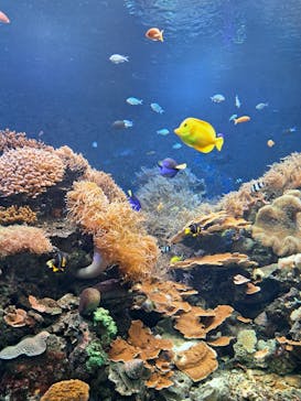 株式会社Gに投稿された画像（2023/5/4）