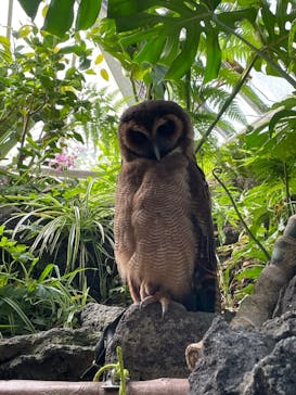 伊豆シャボテン動物公園に投稿された画像（2023/5/4）
