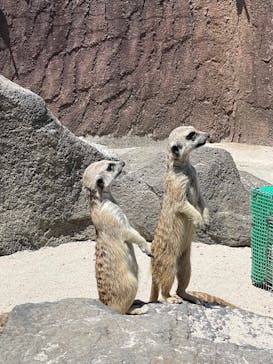 伊豆シャボテン動物公園に投稿された画像（2023/5/4）