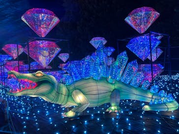 伊豆ぐらんぱる公園に投稿された画像（2023/5/4）