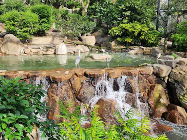 天王寺動物園に投稿された画像（2023/5/4）