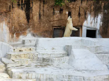 天王寺動物園に投稿された画像（2023/5/4）
