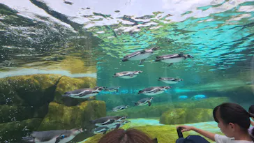 天王寺動物園に投稿された画像（2023/5/4）