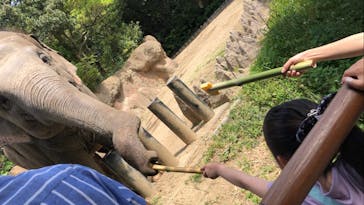 到津の森公園に投稿された画像（2023/5/4）