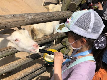 到津の森公園に投稿された画像（2023/5/4）