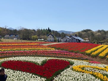 牧歌の里に投稿された画像（2023/5/4）