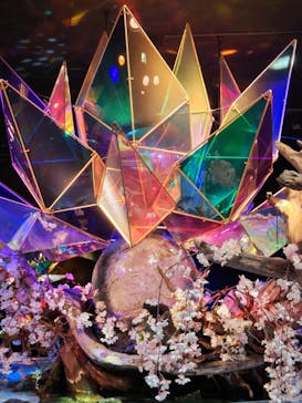 NARA KINGYO MUSEUMに投稿された画像（2023/5/4）