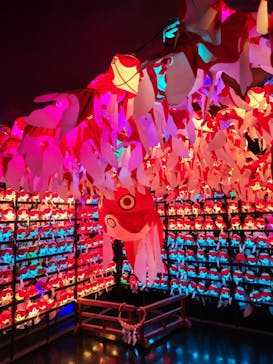 NARA KINGYO MUSEUMに投稿された画像（2023/5/4）