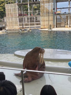 城崎マリンワールドに投稿された画像（2023/5/4）