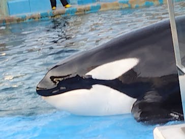 名古屋港水族館に投稿された画像（2023/5/4）