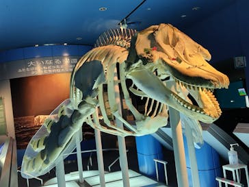 名古屋港水族館に投稿された画像（2023/5/4）