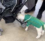 しろとり動物園に投稿された画像（2023/5/5）