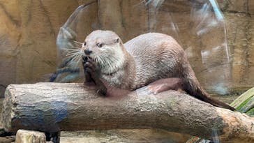 那須どうぶつ王国に投稿された画像（2023/5/4）