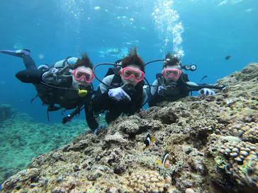 武藤潜水に投稿された画像（2023/5/5）