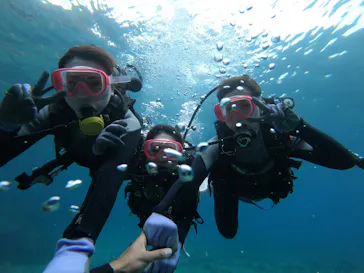 武藤潜水に投稿された画像（2023/5/5）