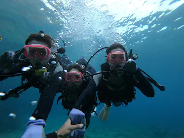 武藤潜水に投稿された画像（2023/5/5）