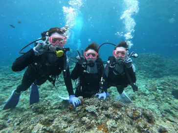 武藤潜水に投稿された画像（2023/5/5）
