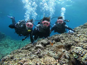 武藤潜水に投稿された画像（2023/5/5）