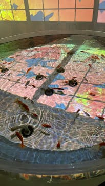 NARA KINGYO MUSEUMに投稿された画像（2023/5/5）