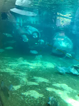 天王寺動物園に投稿された画像（2023/5/5）