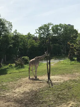 天王寺動物園に投稿された画像（2023/5/5）