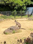 千葉市動物公園に投稿された画像（2023/5/5）
