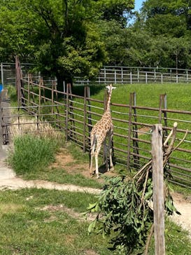 千葉市動物公園に投稿された画像（2023/5/5）