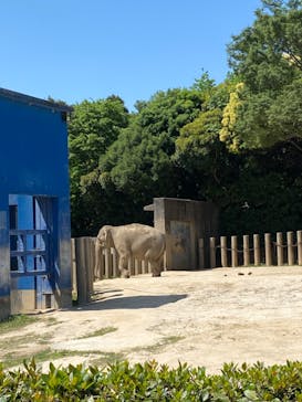 千葉市動物公園に投稿された画像（2023/5/5）