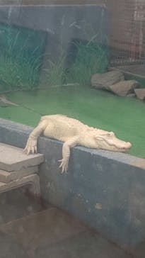 東北サファリパークに投稿された画像（2023/5/5）