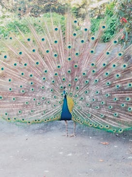 伊豆シャボテン動物公園に投稿された画像（2023/5/5）