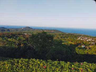 伊豆シャボテン動物公園に投稿された画像（2023/5/5）