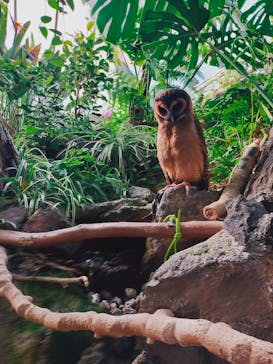 伊豆シャボテン動物公園に投稿された画像（2023/5/5）